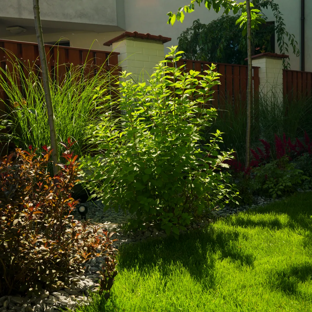 Realizacja ogrodu Mazovia Garden Service, front domu z zielenią i podjazdem
